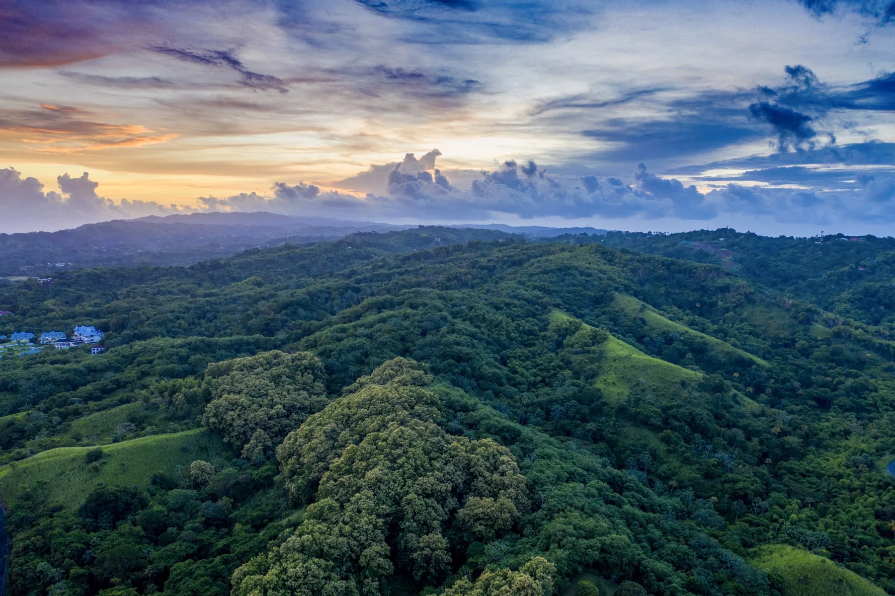 Main Ridge Forest Reserve